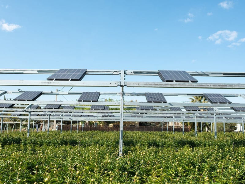 Cultivez et produisez simultanément !