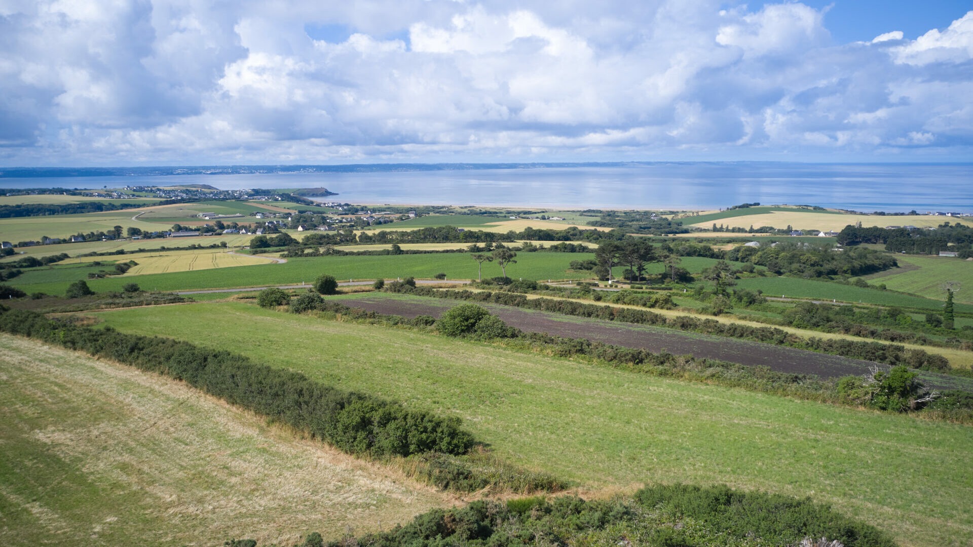 Cultivez l'énergie sans sacrifier vos cultures !